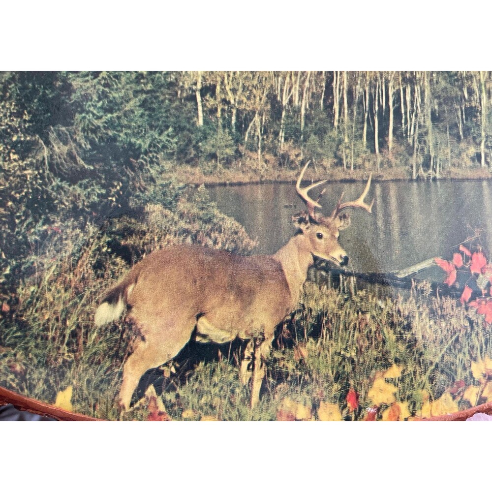 Vintage Rustic Deer Wood Slice Wall Art | Cabin Lodge Nature Decor | Retro Woodl